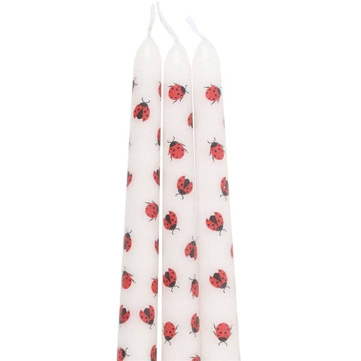 Ensemble de 3 bougies coniques Love Bug Ladybug