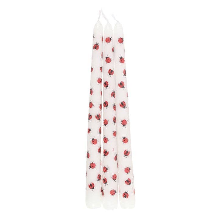 Ensemble de 3 bougies coniques Love Bug Ladybug