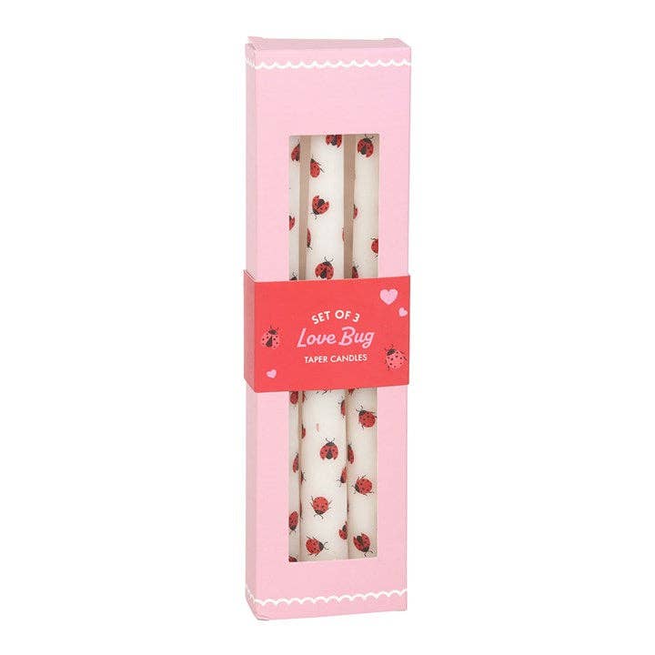 Ensemble de 3 bougies coniques Love Bug Ladybug